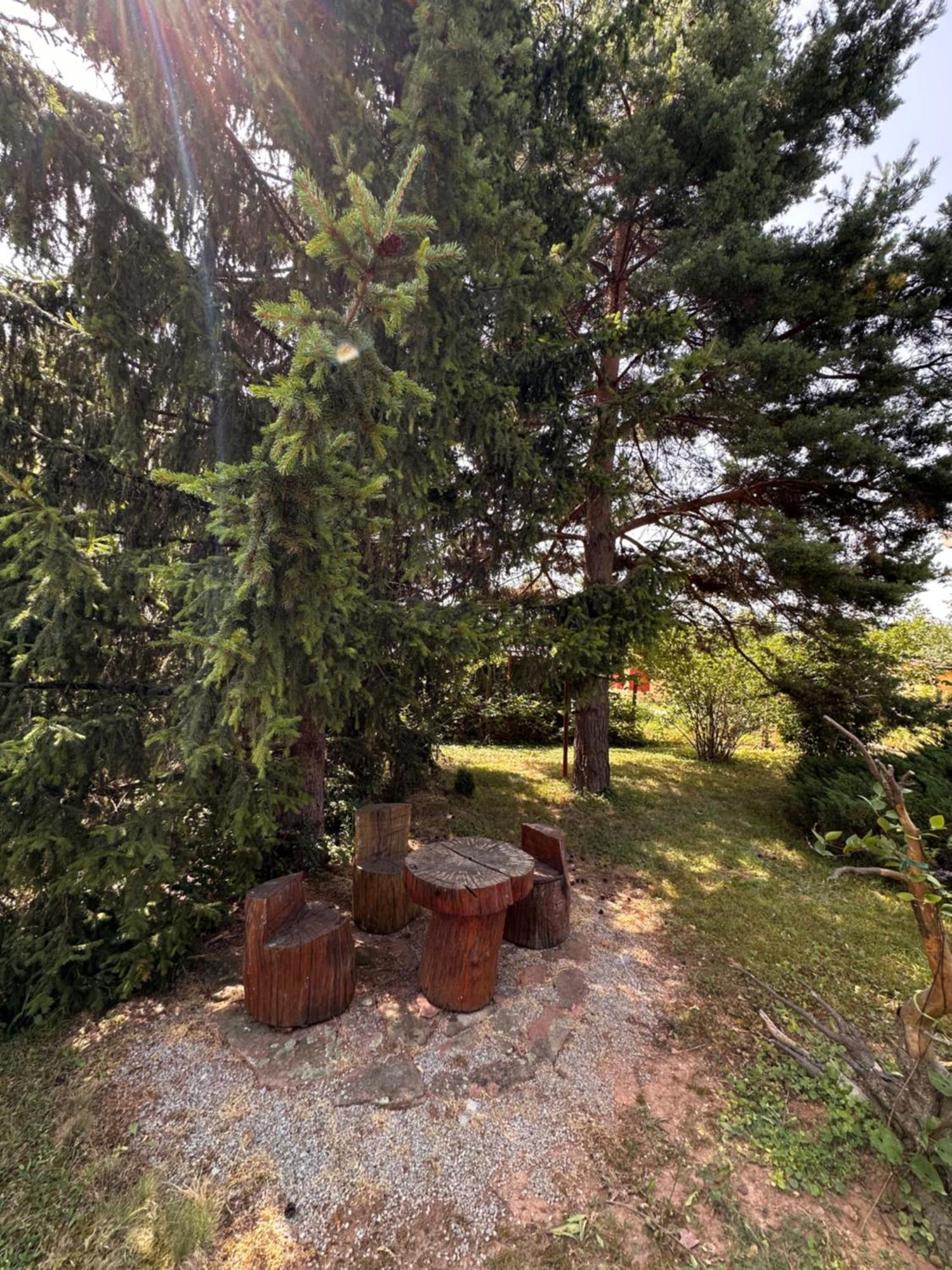 Villa Borovitsa Exterior photo